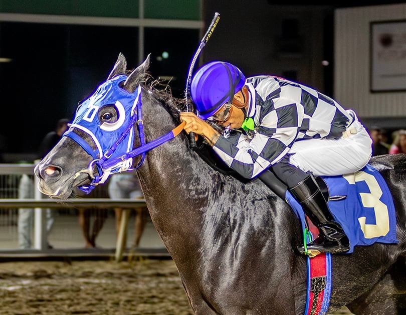 CJ McMahon - Night Racing